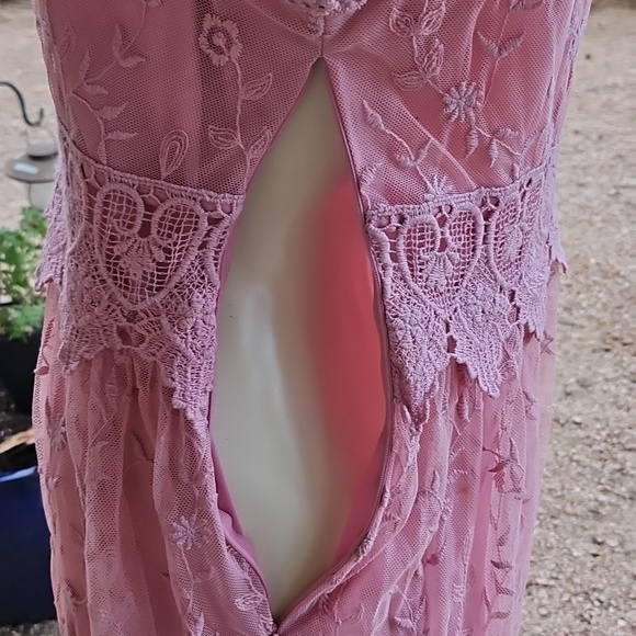 Sundance Juliet Rose Pink Lace Boho Romantic Sleeveless Embroidered Dress Size 6 - Picture 10 of 11